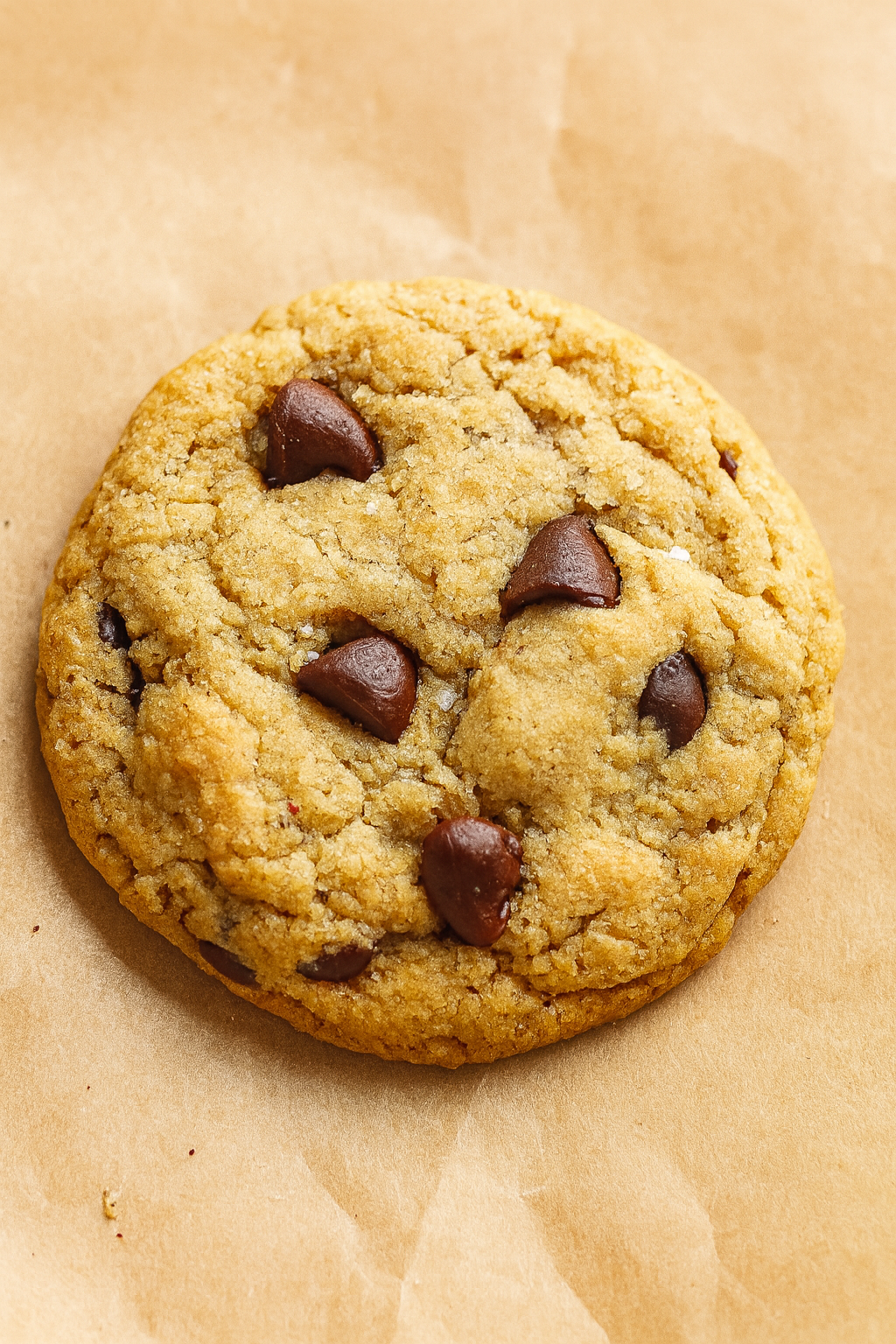 Classic Chocolate Chip